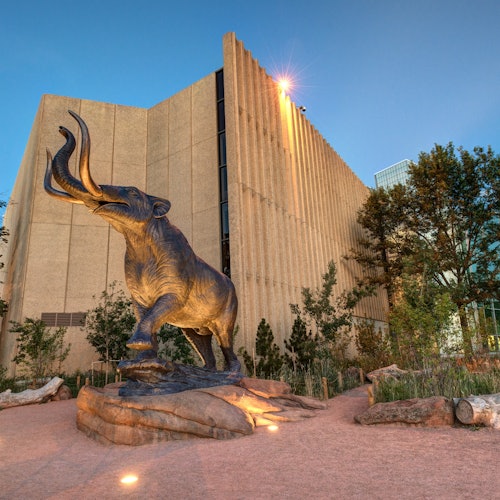 Museo de Naturaleza y Ciencia de Denver: boleto de entrada