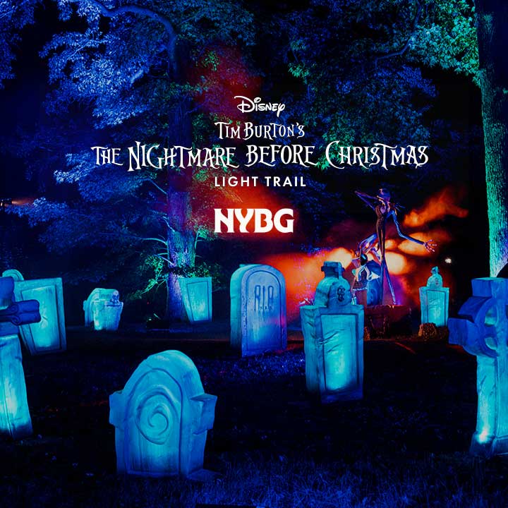 Disney Tim Burton’s The Nightmare Before Christmas Light Trail - Waitlist
