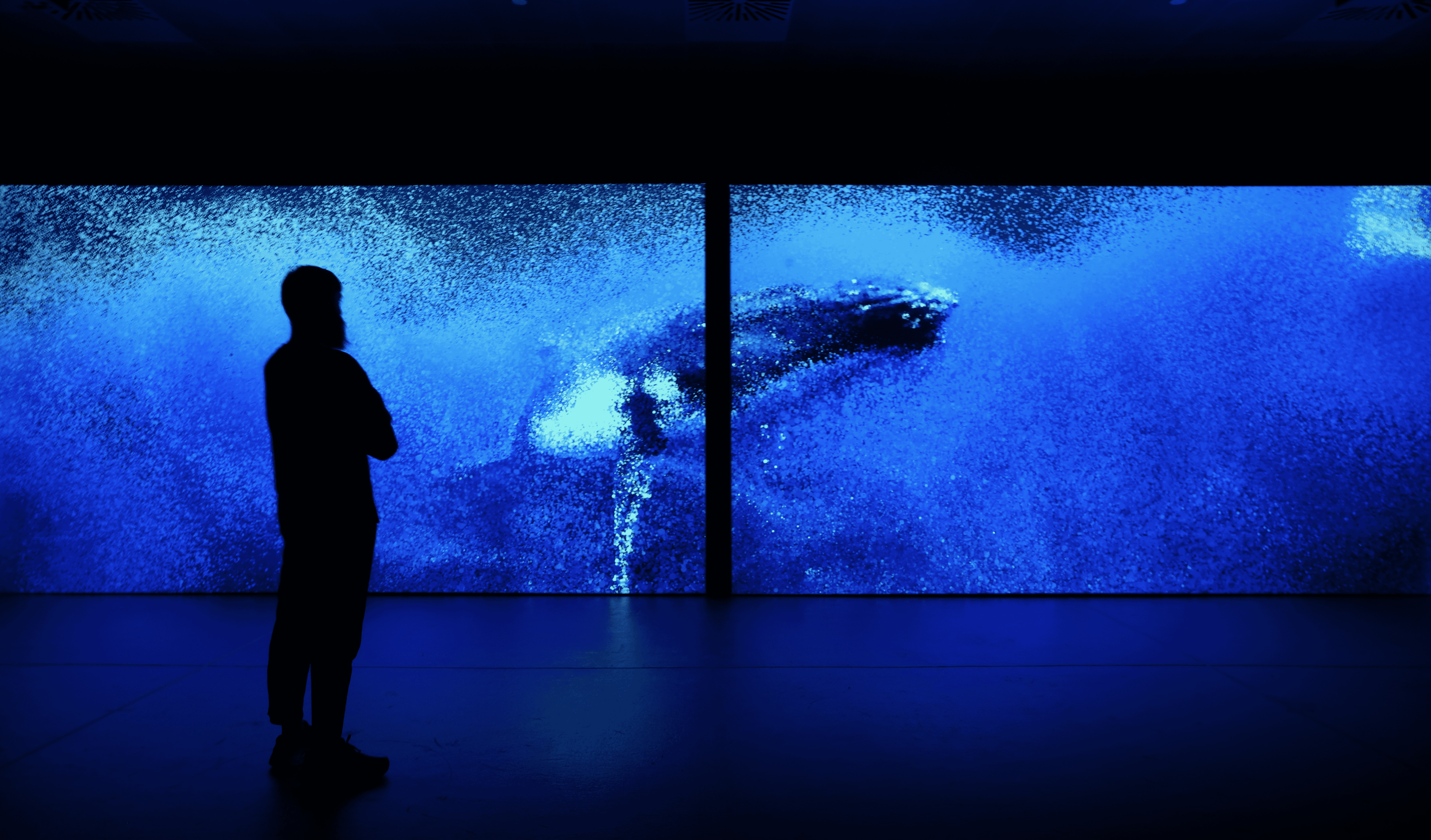 Mexico Brought to Life