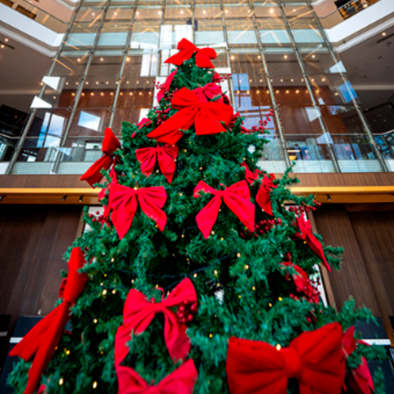Ceia de Natal no Hilton São Paulo Morumbi