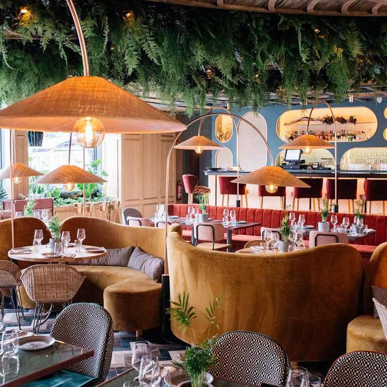 Menú en Botania, Plaza de España