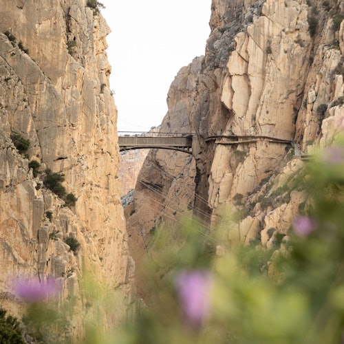 Caminito del Rey: Visita guiada en francés + Traslado de ida