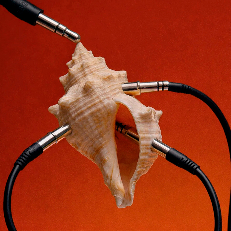 Sound Ecologies de Carincur