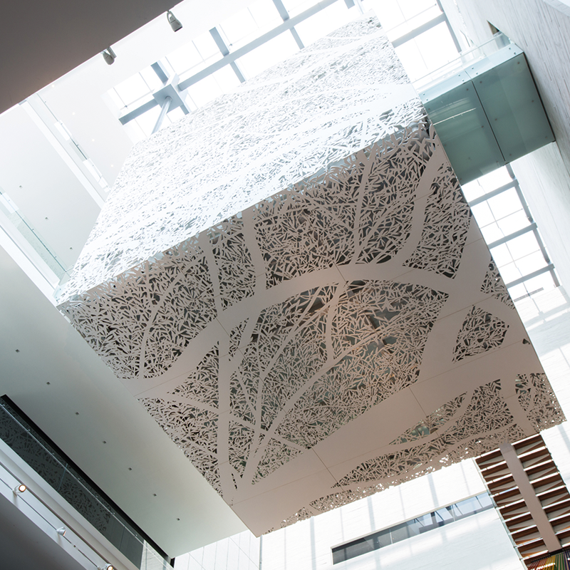 Museo Memoria y Tolerancia