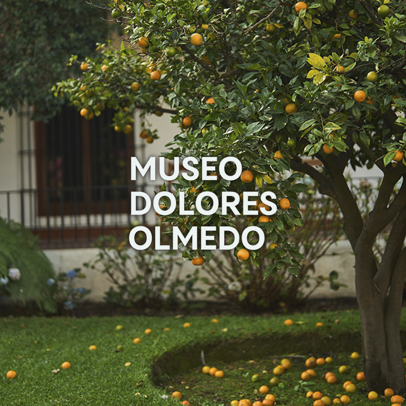Museo Dolores Olmedo - Lista de espera