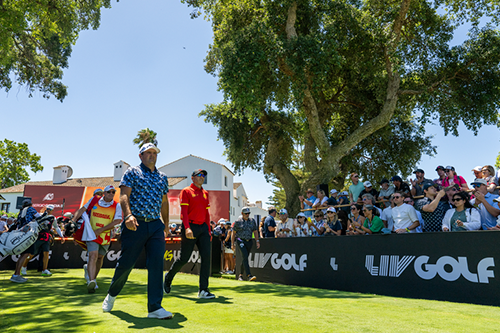 personas en primera fila del campo