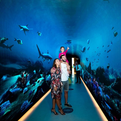 The View at The Palm: The View (Level 52)