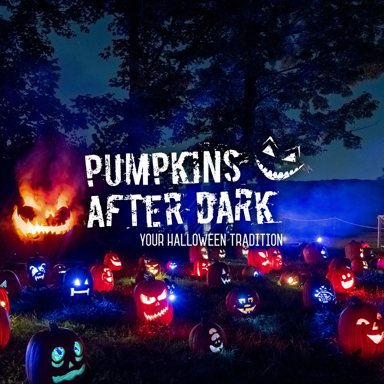 Pumpkins After Dark - Waitlist