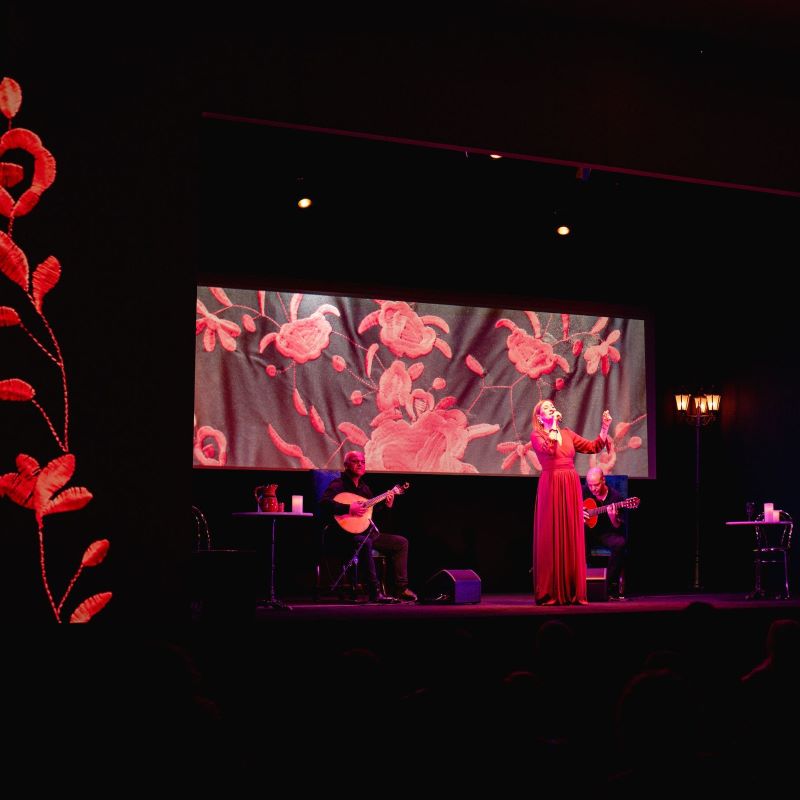 Fado in Chiado, espetáculo de fado ao vivo em palco há 15 anos.