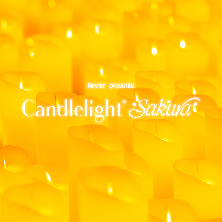 Candlelight Sakura: 甘く切ない桜ソング名曲集