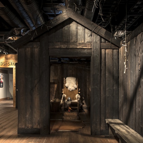 Vikingamuseet: Entrébiljett