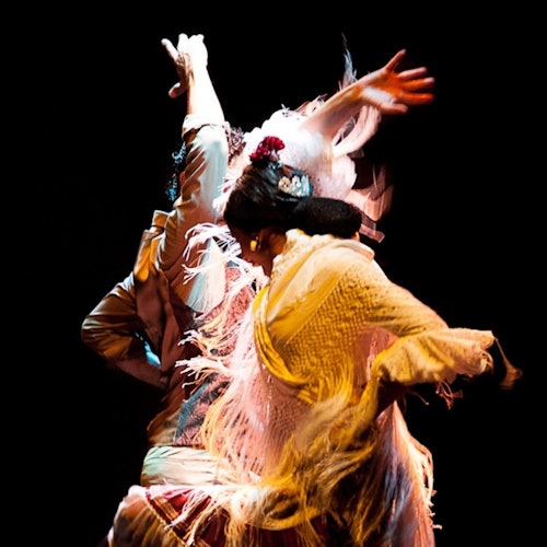 Museo del Baile Flamenco: Entrada + Puro Espectáculo Flamenco