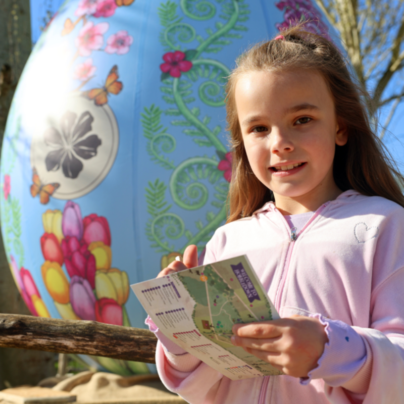 Hobbledown Heath: London's Largest Adventure Playground