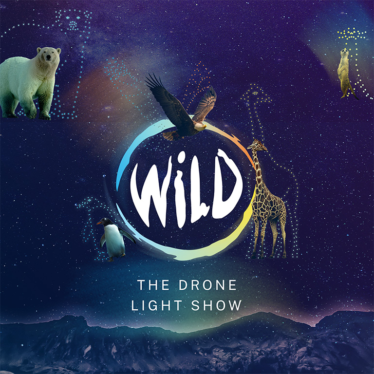 WILD: The Drone Light Show - Nottingham