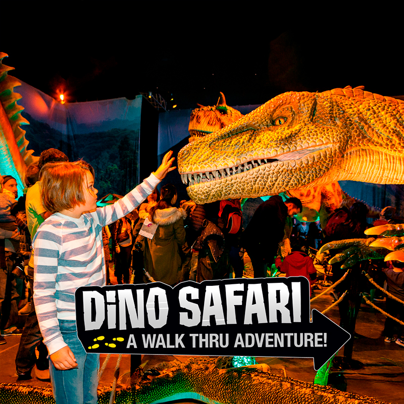 Dino Safari: A Walk-Thru Adventure