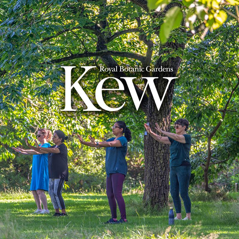 The Royal Botanic Gardens - Kew - Tai Chi Sessions