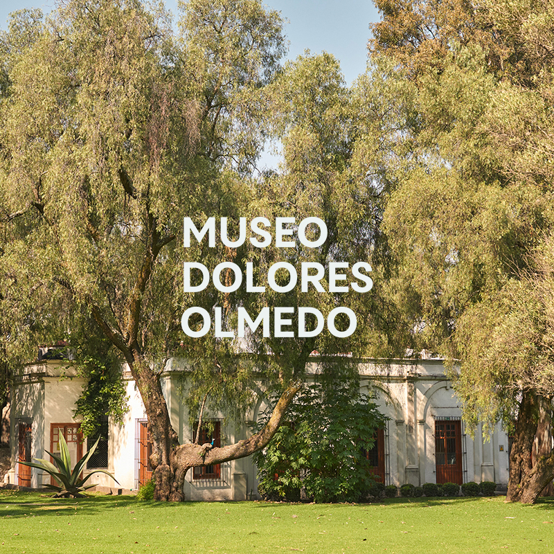 Museo Dolores Olmedo - Lista de espera