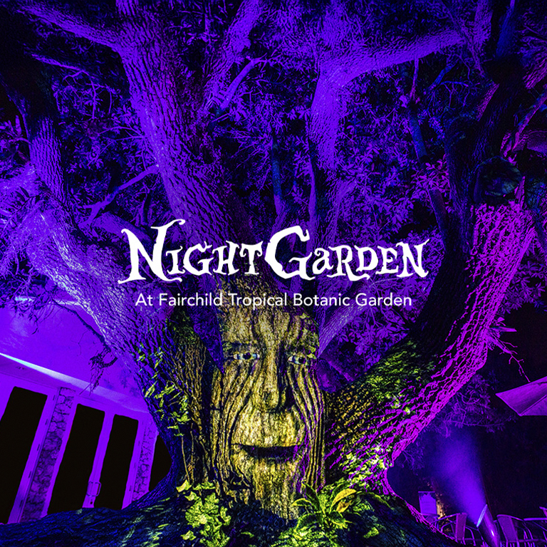 NightGarden - Waitlist - Fairchild Tropical Botanic Garden NightGarden - Waitlist