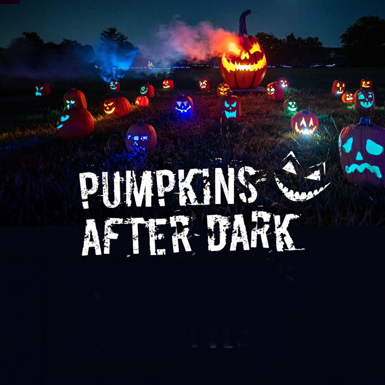 Pumpkins After Dark - Waitlist