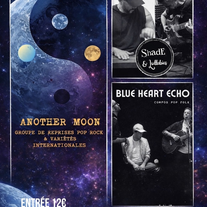 3 Exceptional Live Concerts in a Row