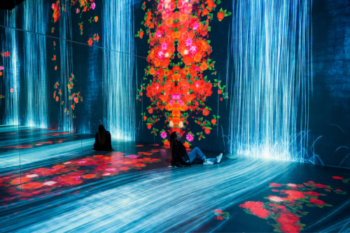 Mexico Brought to Life