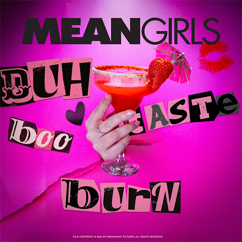 Taste Film presenta Chicas Pesadas (2004)