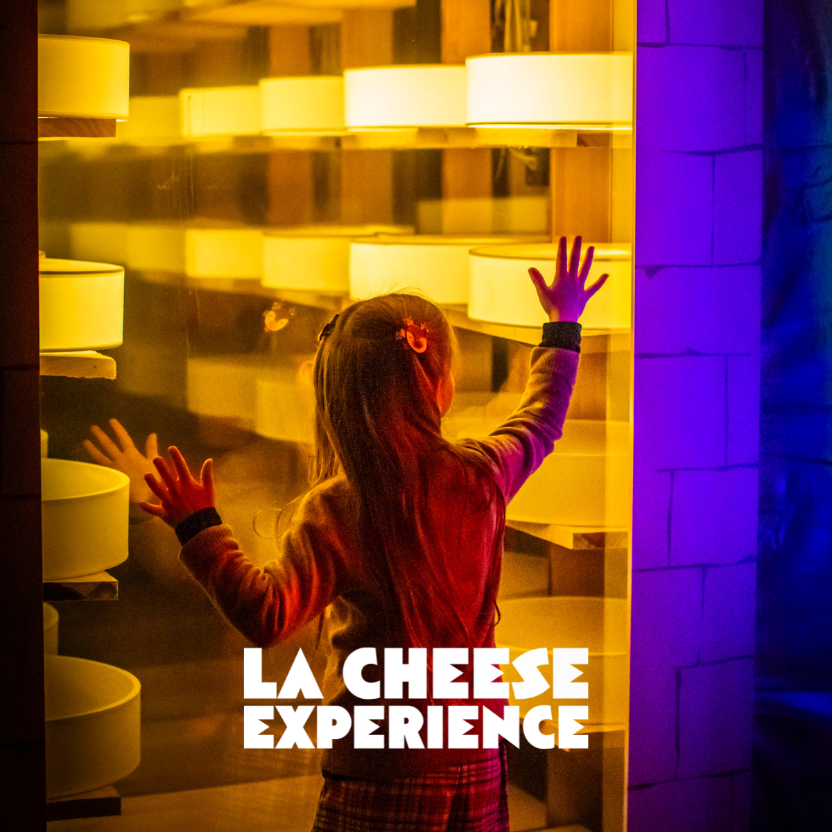 La Cheese Experience : le parcours immersif de dégustation où les fromages prennent vie !
