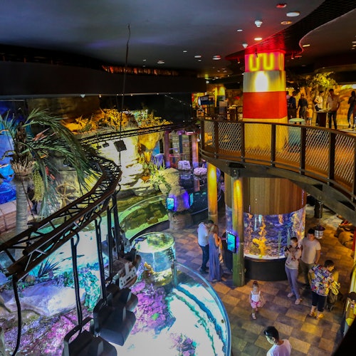 Dubai Aquarium & Underwater Zoo: Entry Ticket + Penguin Encounter