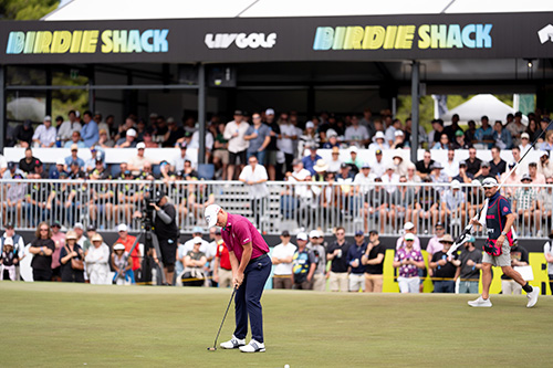 Your Top Spot in the Shade