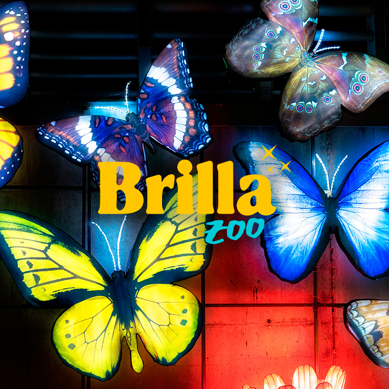 Brilla Festival - Lista de espera