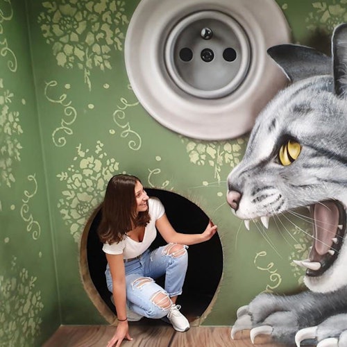 Muzeum fantastických iluzí: Vstupenka