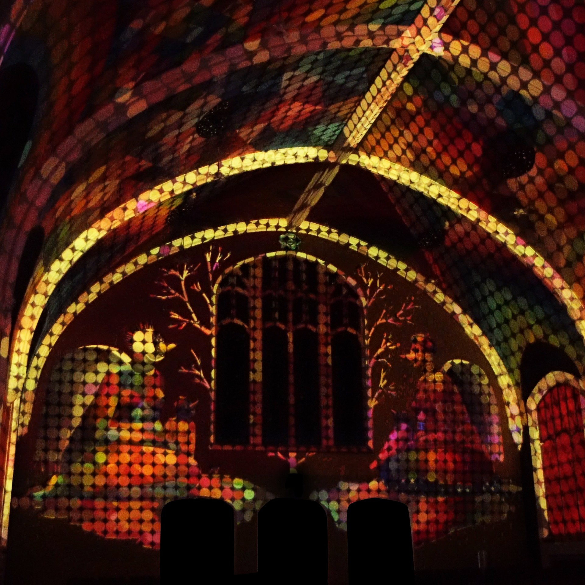 Experiencia con luz láser elevada