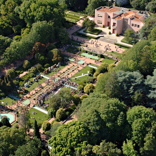 Serralves Park: admission ticket and Treetop Walk