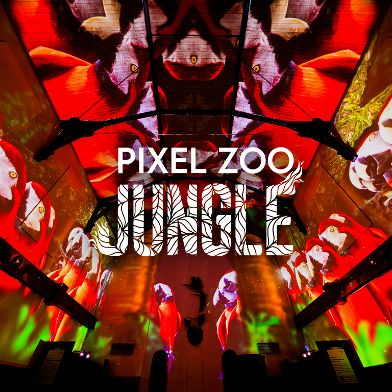 Pixel Zoo Jungle - Joue. Apprends. Explore.