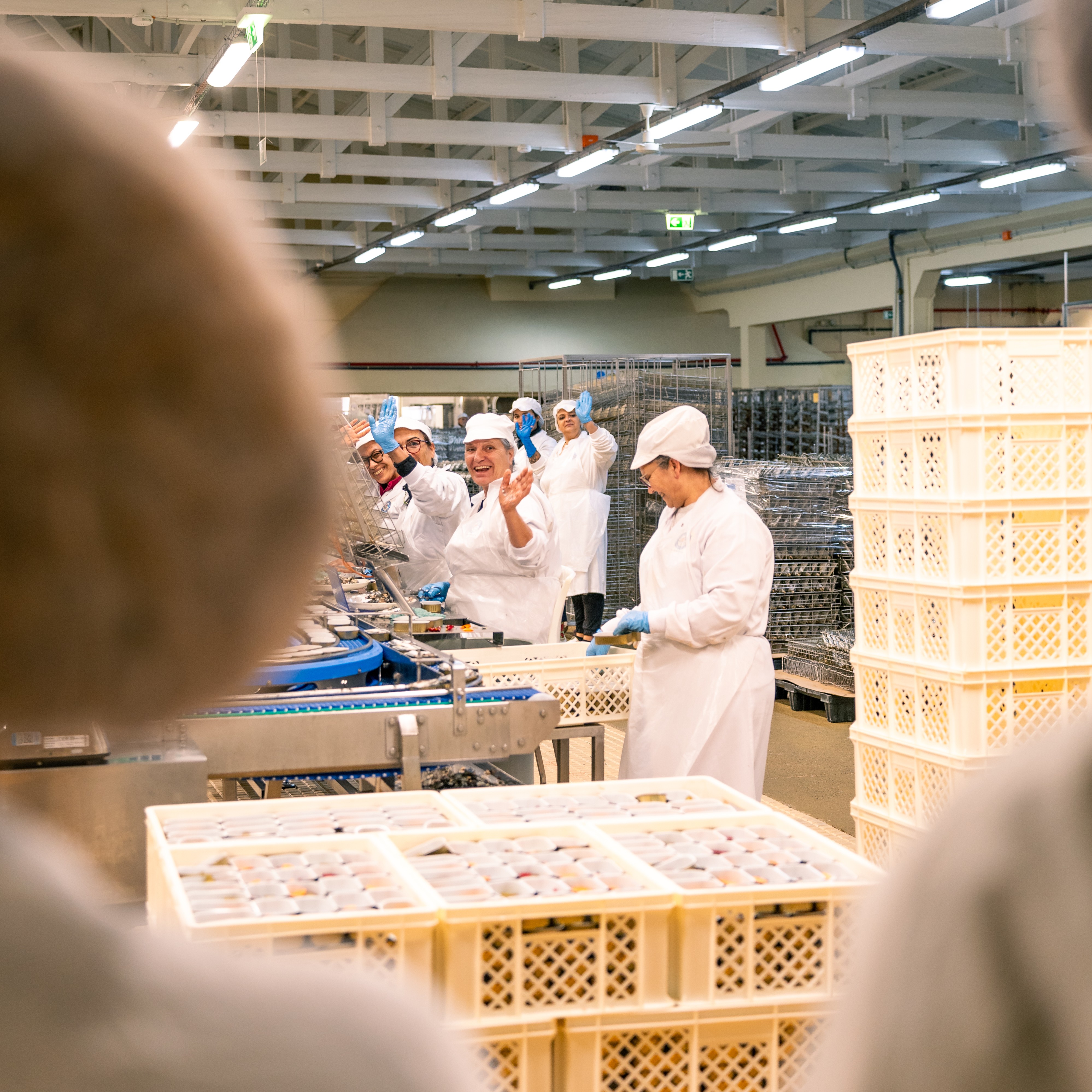 Conservas Pinhais Factory Tour: Guided Experience in English