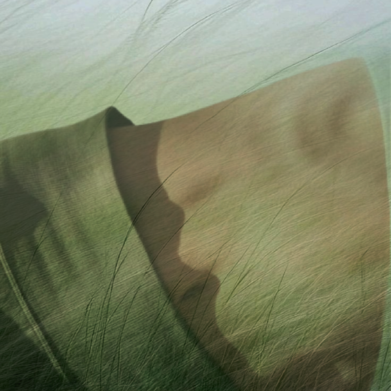 Bloom - Women's Wellness Day