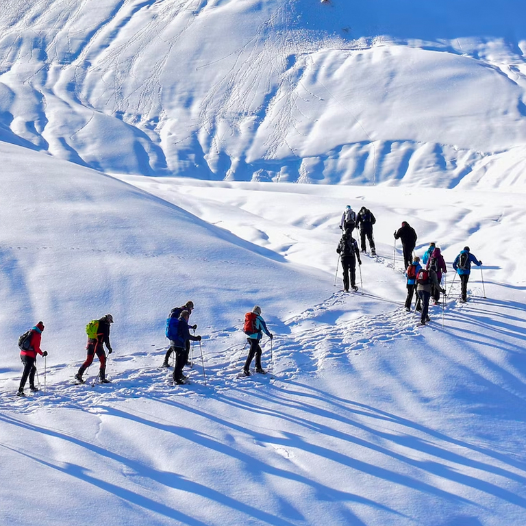 Vancouver Snowshoe Adventure
