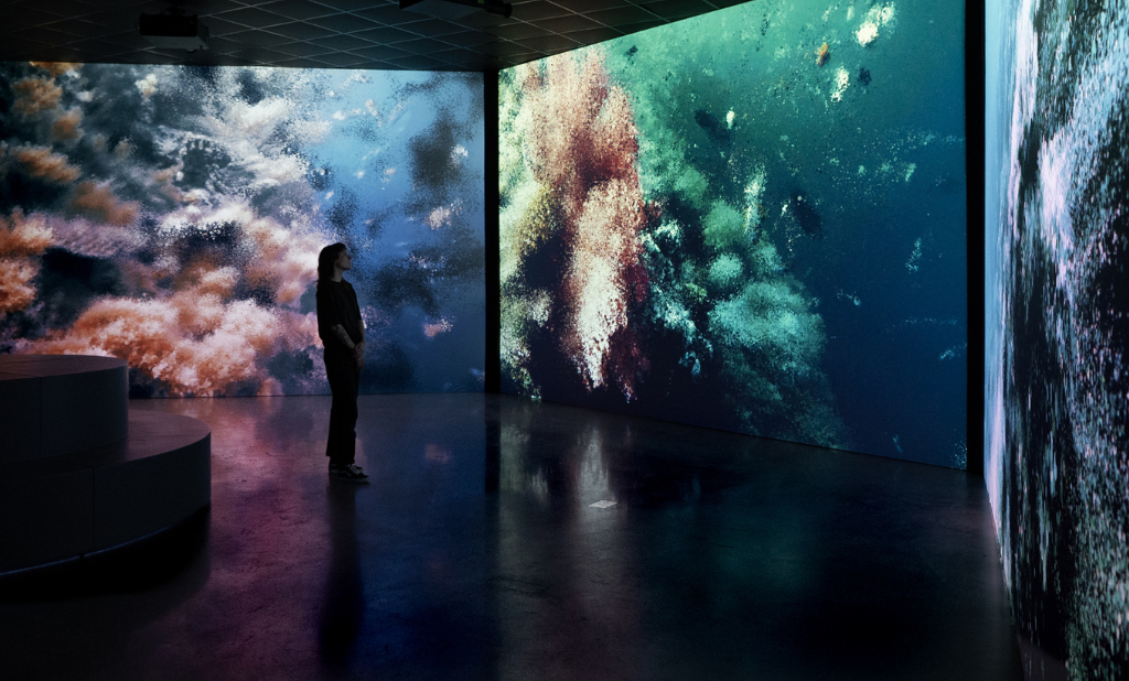 Une nouvelle perspective de la vie aquatique