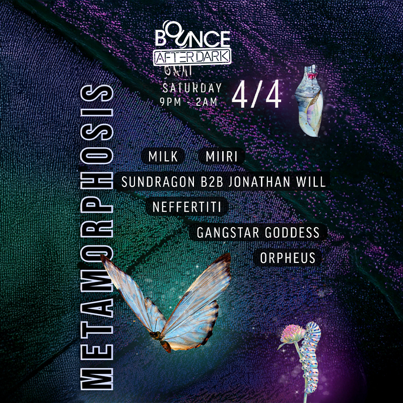 Bounce Empire - METAMORPHOSIS