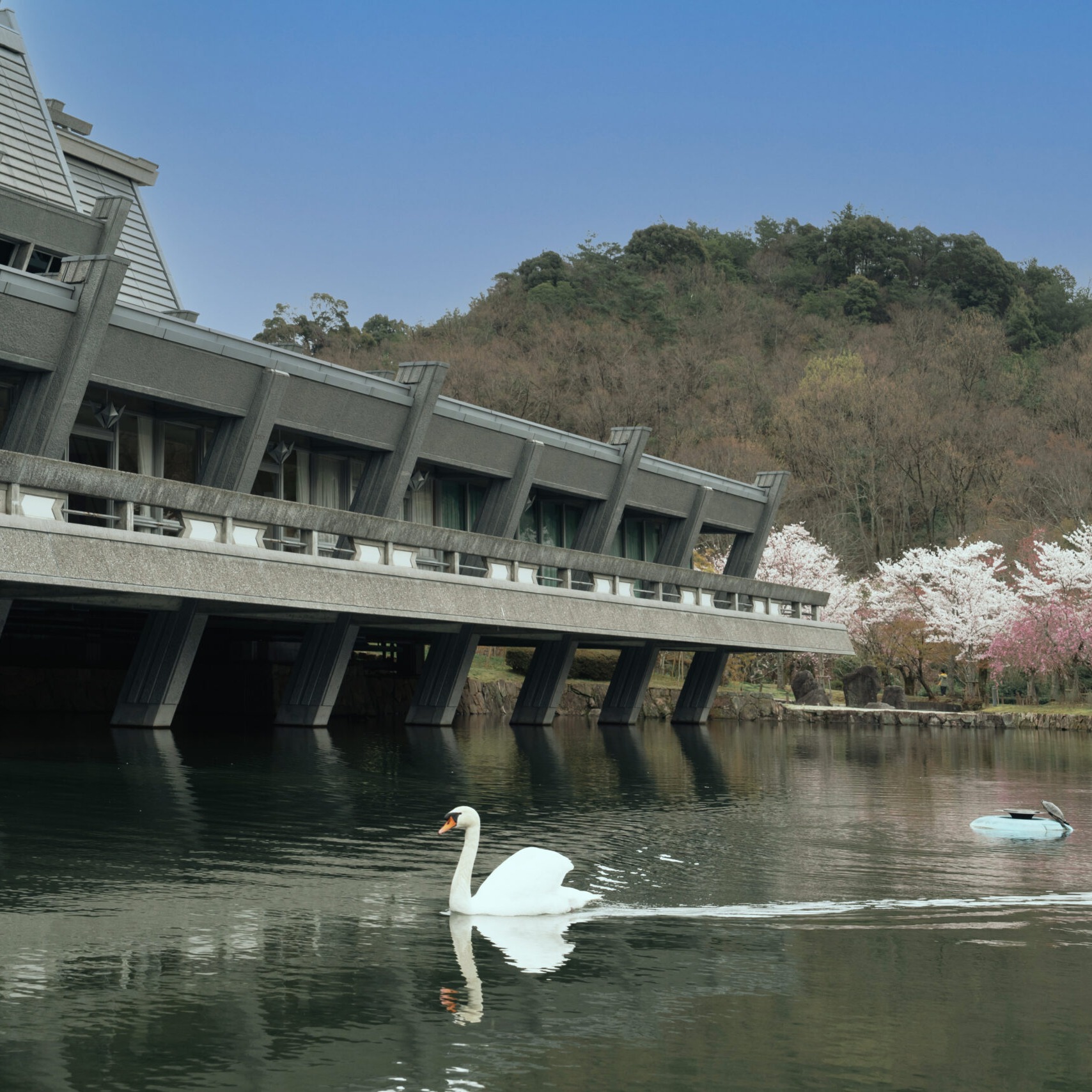京都国際会館 ～春の特別公開～