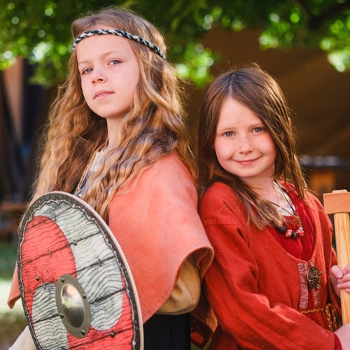 Historiska museet: Entrébiljett