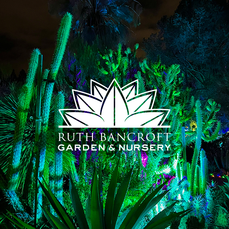 Garden of D’Lights