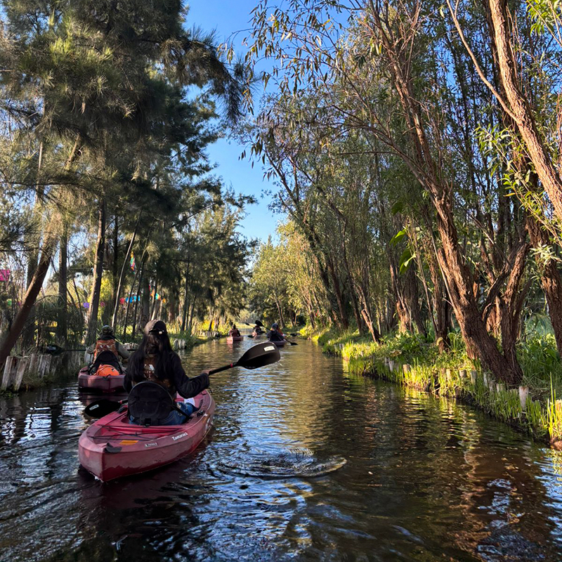 Experiencias Xochimilco - Amancer en kayak