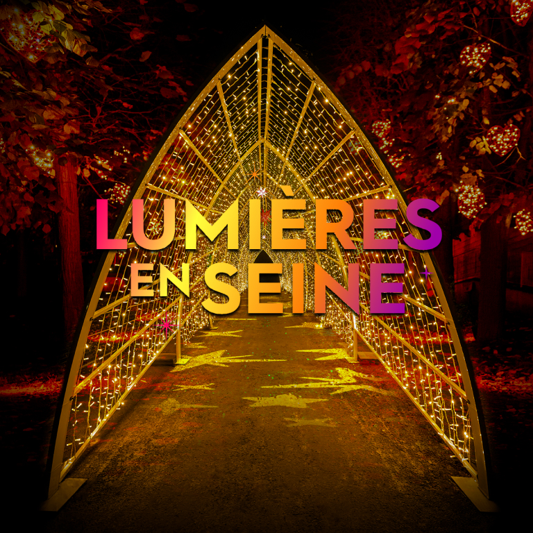 Lumières en Seine : le parcours illuminé et musical des fêtes de fin d’année - Liste d’attente