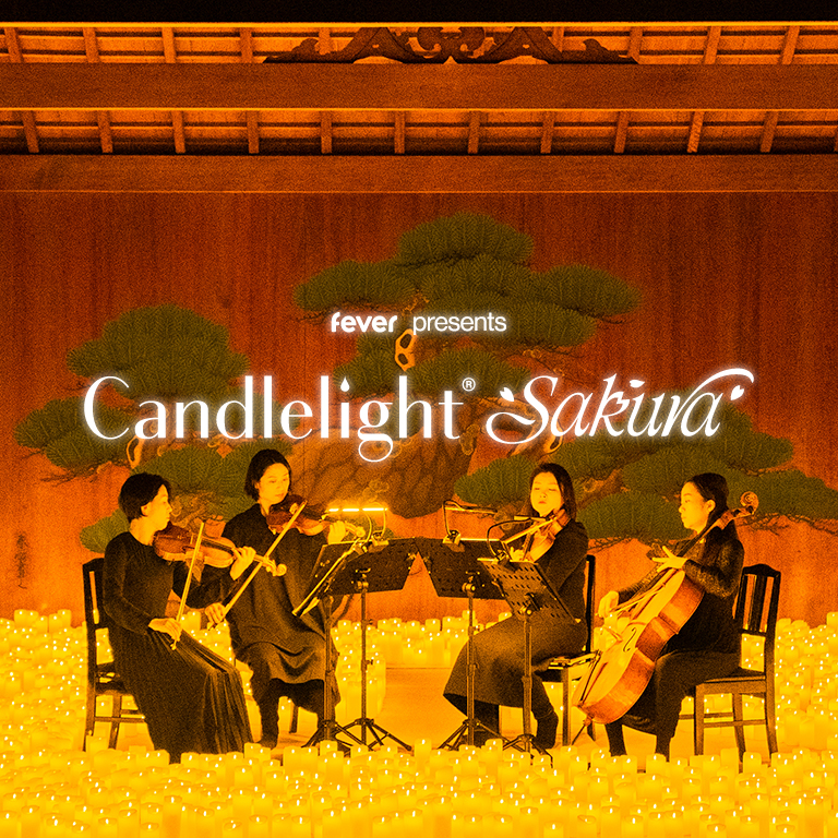 Candlelight Sakura: 甘く切ない桜ソング名曲集