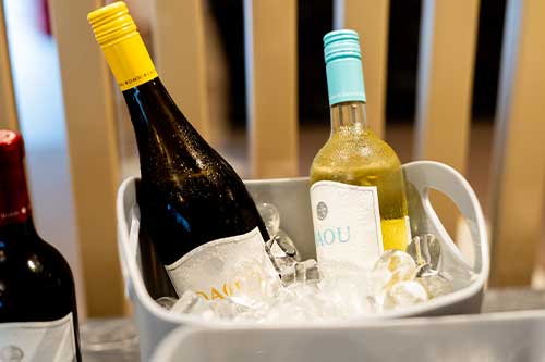 All-Inclusive Food & Drinks