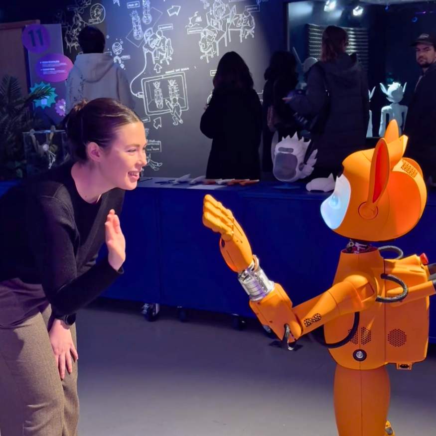 Expérience Mirokaï