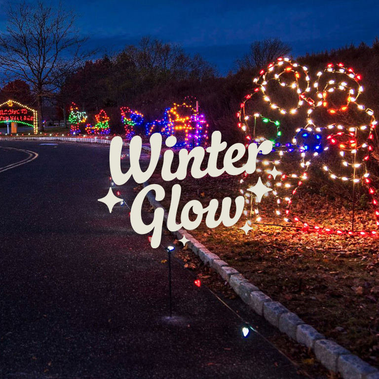 Winter Glow Experience: A Drive-Thru Holiday Light Show - Waitlist - Heritage Financial Park Winter Glow Experience: A Drive-Thru Holiday Light Show - Waitlist