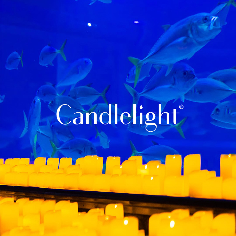 Candlelight : Tribute to Arijit Singh at VGP Marine Kingdom