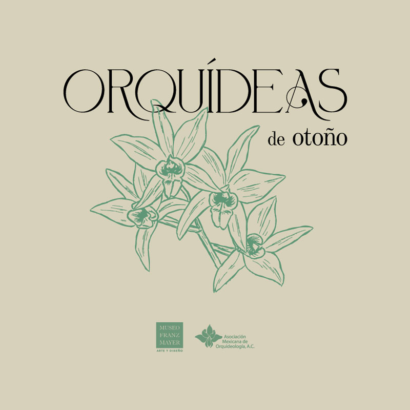 Orquídeas de otoño | Expo-venta - Museo Franz Mayer Orquídeas de otoño | Expo-venta
